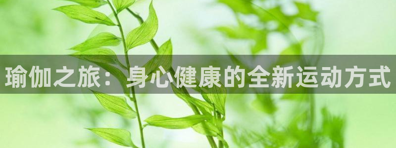 熊猫体育官网下载招商电话地址是多少：瑜伽之旅：身心健康的全新