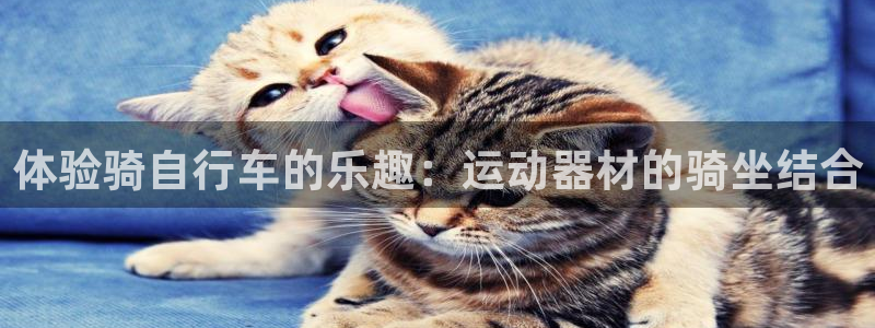 熊猫体育集团官网首页