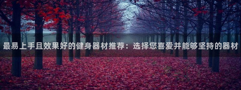 熊猫体育集团：最易上手且效果好的健身器材推荐：选择您喜爱并能