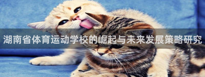 oety欧亿