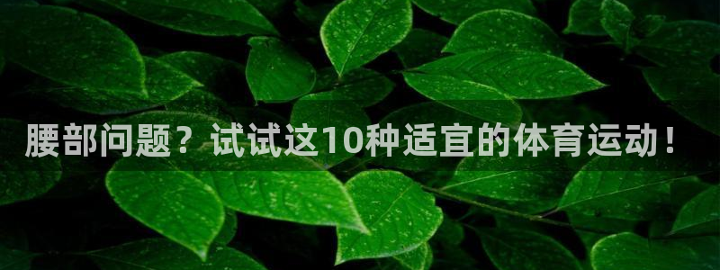 oety欧亿