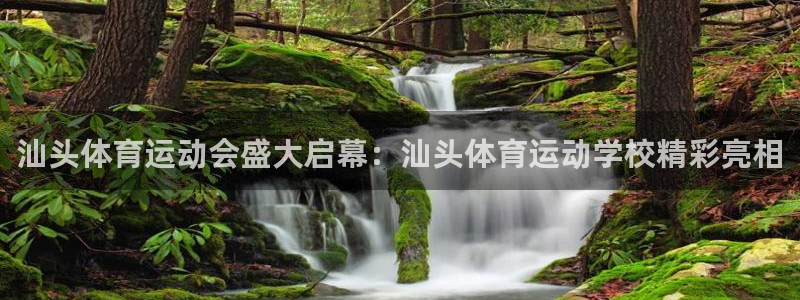 oety欧亿：汕头体育运动会盛大启幕：汕头体育运动学校精彩亮相