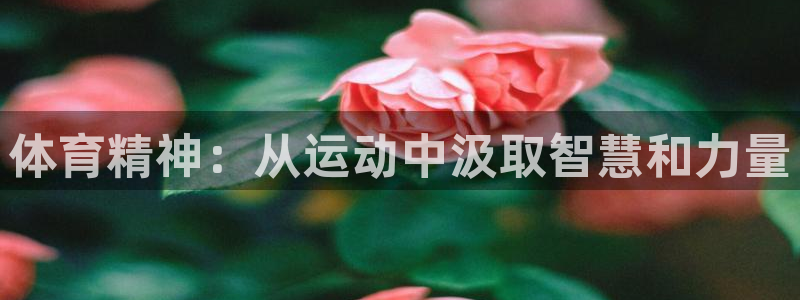 oety欧亿：体育精神：从运动中汲取智慧和力量