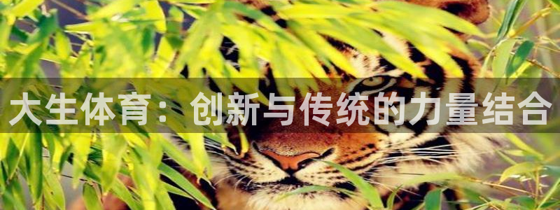 oety欧亿：大生体育：创新与传统的力量结合