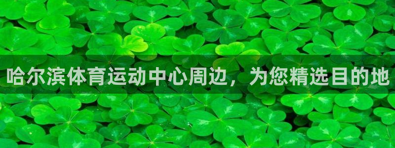 oety欧亿