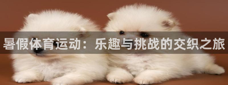 oety欧亿：暑假体育运动：乐趣与挑战的交织之旅