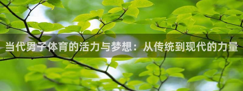 oety欧亿：当代男子体育的活力与梦想：从传统到现代的力量