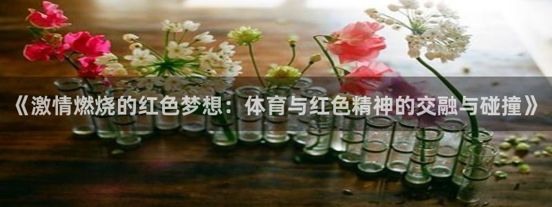 oety欧亿：《激情燃烧的红色梦想：体育与红色精神的交融与碰撞》