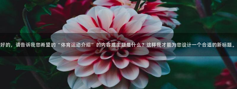 oety欧亿：好的，请告诉我您希望的“体育运动介绍”的内容或主题是什么？这样我才能为您设计一个合适的新标题。