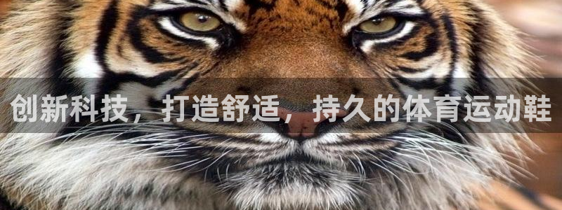 oety欧亿：创新科技，打造舒适，持久的体育运动鞋